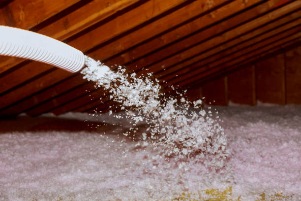 Best Commercial Insulation Contractor  in Chalco, NE