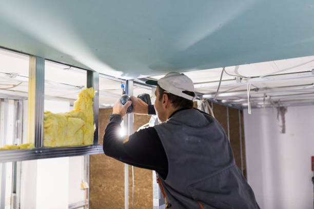 Best Energy-efficient Insulation  in Chalco, NE