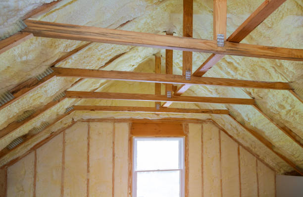 Best Cellulose Insulation  in Chalco, NE