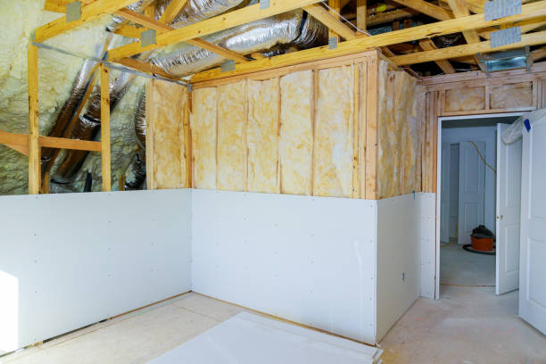 Insulation Inspection Services in Chalco, NE