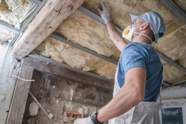 Best Insulation Replacement Services  in Chalco, NE