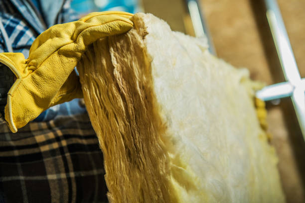 Insulation Contractors for Homes in Chalco, NE