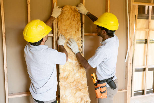 Best Blown-in Insulation  in Chalco, NE