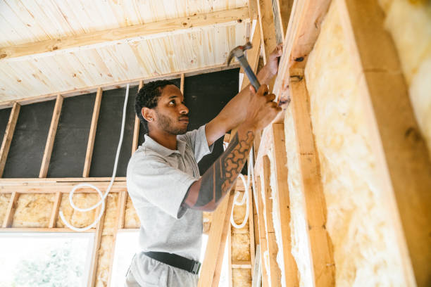 Best Attic Insulation Installation  in Chalco, NE