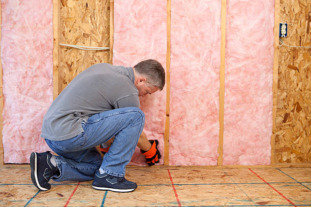 Best Energy-efficient Insulation  in Chalco, NE