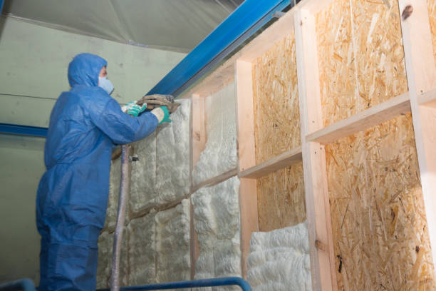  Chalco, NE Insulation Contractor Pros
