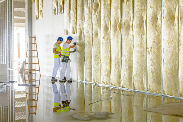 Best Affordable Insulation Services  in Chalco, NE